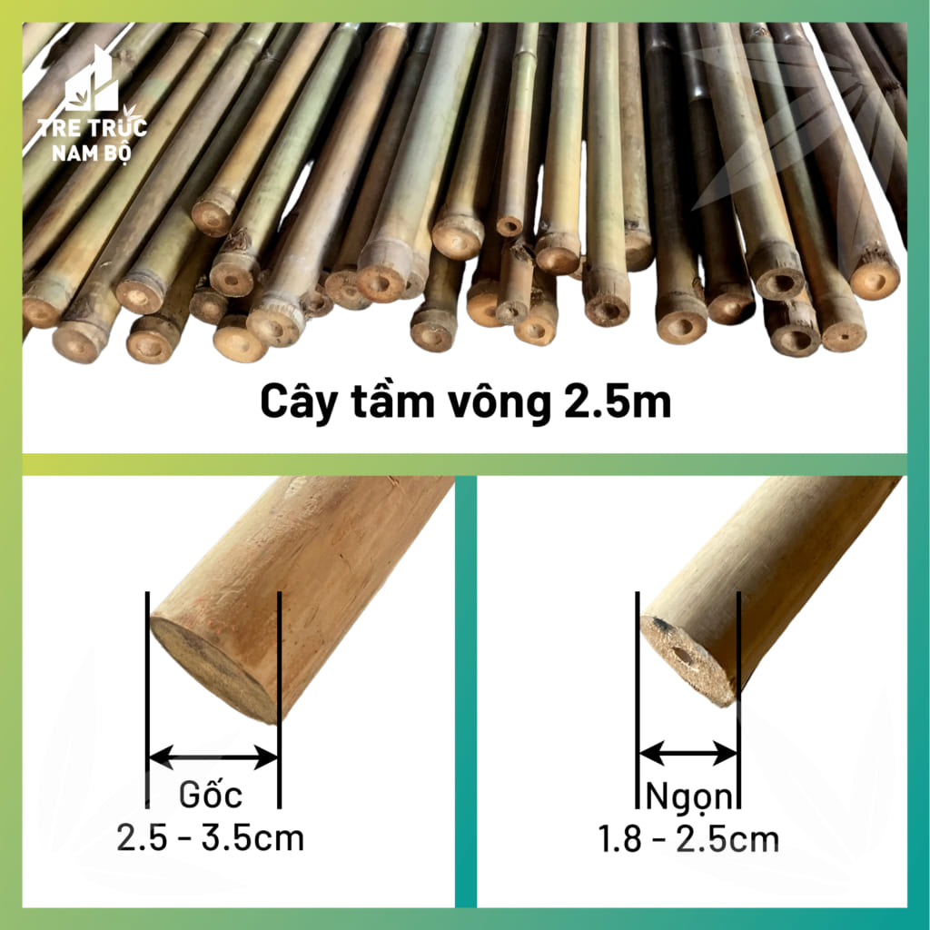 Địa chỉ bán cây tầm vông làm công trình ở TP.HCM