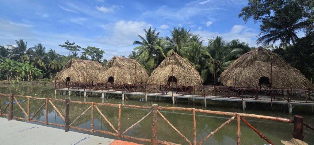 Tre Trúc Nam Bộ thi công nhà tranh mái lá, tái hiện không gian mộc (phần 2)