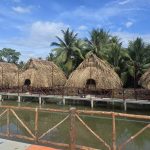 Tre Trúc Nam Bộ thi công nhà tranh mái lá, tái hiện không gian mộc (phần 2)